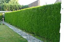 Cliquez sur l'image pour la voir en taille r�elle&nbsp;

Nom : 		ltf4.jpg&nbsp;
Affichages :	50&nbsp;
Taille :		84,4 Ko&nbsp;
ID : 			762890