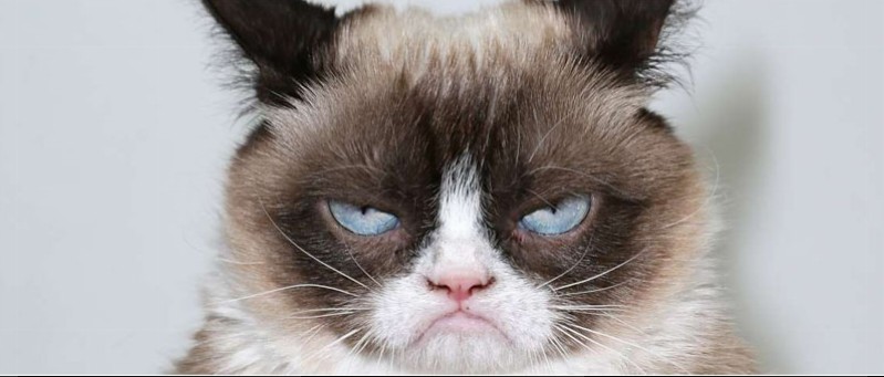 Cliquez sur l'image pour la voir en taille rÃ©elleÃ   Nom : 		grumpycat.jpgÃ  Affichages :	1Ã  Taille :		534 KoÃ  ID : 			791111
