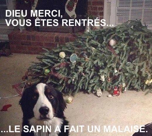Cliquez sur l'image pour la voir en taille r�elle&nbsp;

Nom : 		c4dd5d09-00fb-46bd-87af-f7c9ed05bbb4.jpg&nbsp;
Affichages :	144&nbsp;
Taille :		87,9 Ko&nbsp;
ID : 			880215