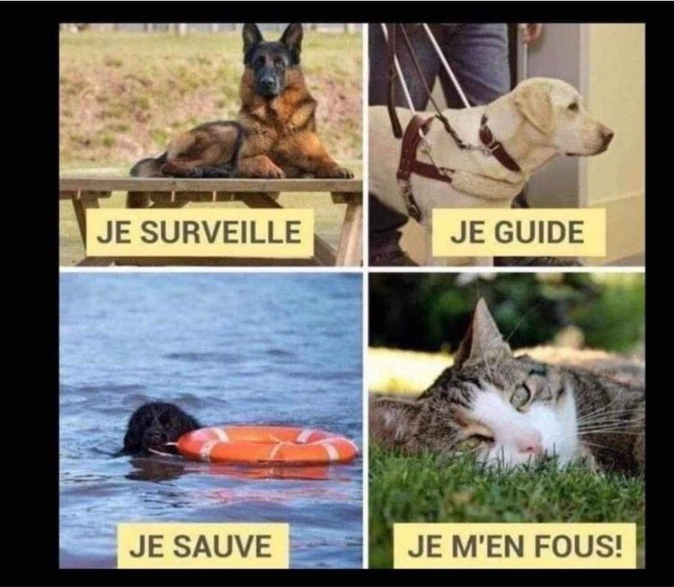 Cliquez sur l'image pour la voir en taille réelle   Nom : 		5eec0642-60fa-4bf7-b133-b2420ac0e177.jpg  Affichages :	0  Taille :		107,3 Ko  ID : 			883854