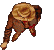 Cliquez sur l'image pour la voir en taille r�elle&nbsp;

Nom : 		ZeldAdventure_KronAnim.gif&nbsp;
Affichages :	16&nbsp;
Taille :		3,7 Ko&nbsp;
ID : 			911113