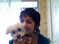 Cliquez sur l'image pour la voir en taille r�elle&nbsp;

Nom : 		Photo 34.jpg&nbsp;
Affichages :	385&nbsp;
Taille :		64,4 Ko&nbsp;
ID : 			711058