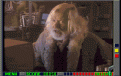 Cliquez sur l'image pour la voir en taille r�elle&nbsp;

Nom : 		cool2.gif&nbsp;
Affichages :	117&nbsp;
Taille :		20,2 Ko&nbsp;
ID : 			711993