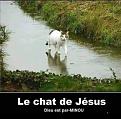 Cliquez sur l'image pour la voir en taille r�elle&nbsp;

Nom : 		431555177_3269864239823663_634297024830878478_n.jpg&nbsp;
Affichages :	132&nbsp;
Taille :		98,3 Ko&nbsp;
ID : 			885695
